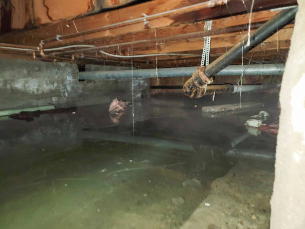 Best Sewage cleanup and water damage restoration  in Golden Grove, SC