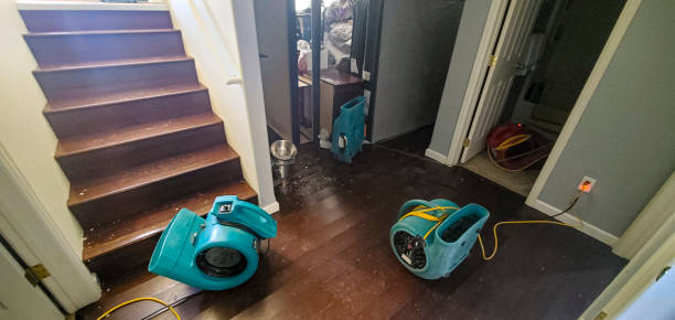 Water damage restoration mold remediation in SC