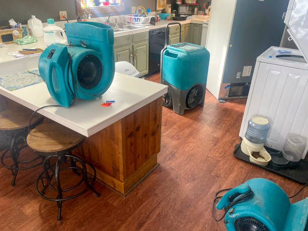 Best Water damage contractors near me  in Golden Grove, SC
