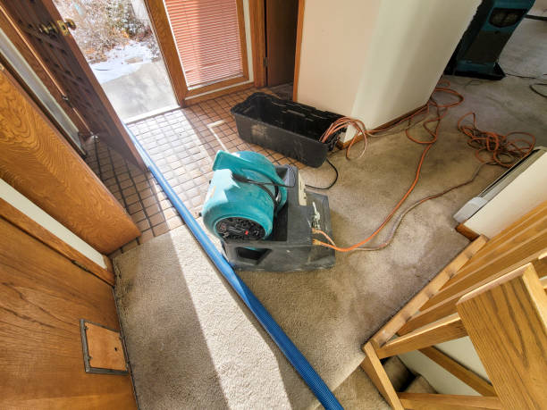 Best Sewage cleanup and water damage restoration  in Golden Grove, SC