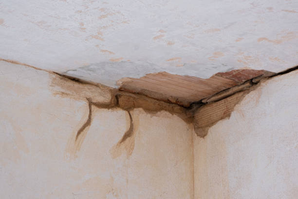 Best Residential water damage restoration  in Golden Grove, SC