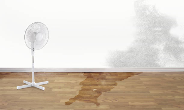 Best Ceiling water damage repair  in Golden Grove, SC