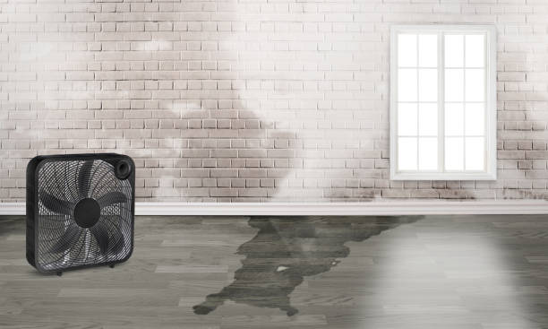 Trusted SC Water damage restoration Experts