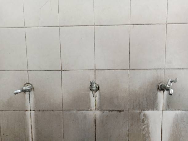 Best Commercial water damage restoration  in Golden Grove, SC