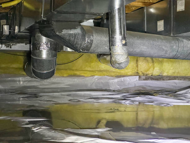 Best Carpet water damage restoration  in Golden Grove, SC